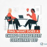 Change Management Consultant